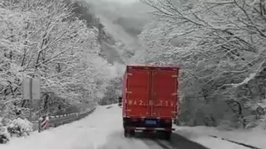 15795853822309946025.jpg 11.jpg