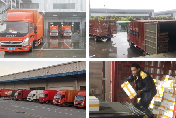 16043816501403008196.png 4.png